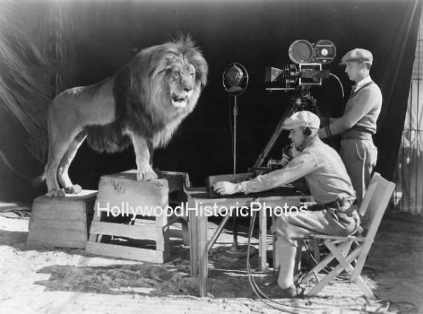Leo the MGM Lion.jpg